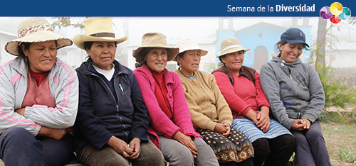 ¿Indígenas o campesinas?