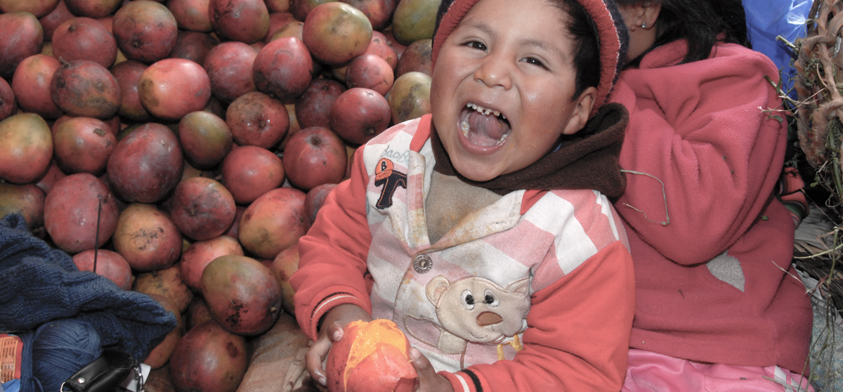 Diseño de políticas basado en evidencia: consejería nutricional en El Alto, Bolivia