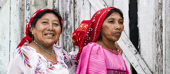 Balance de la naturaleza, balance del poder