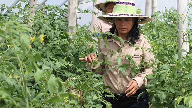 ¿Cómo lograr la igualdad de género en el mercado laboral de América Latina y el Caribe?