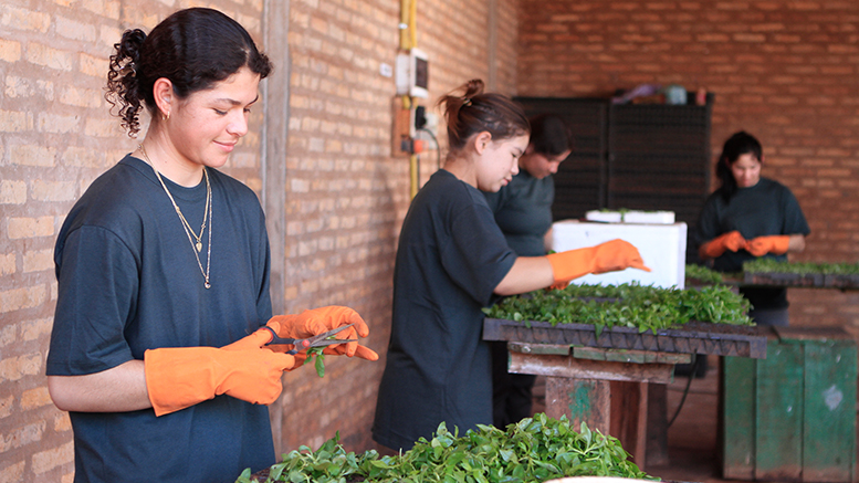 ¿Cuántas brechas esconde la brecha laboral femenina?