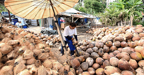 Fibras naturales que mueven camiones (y comunidades)