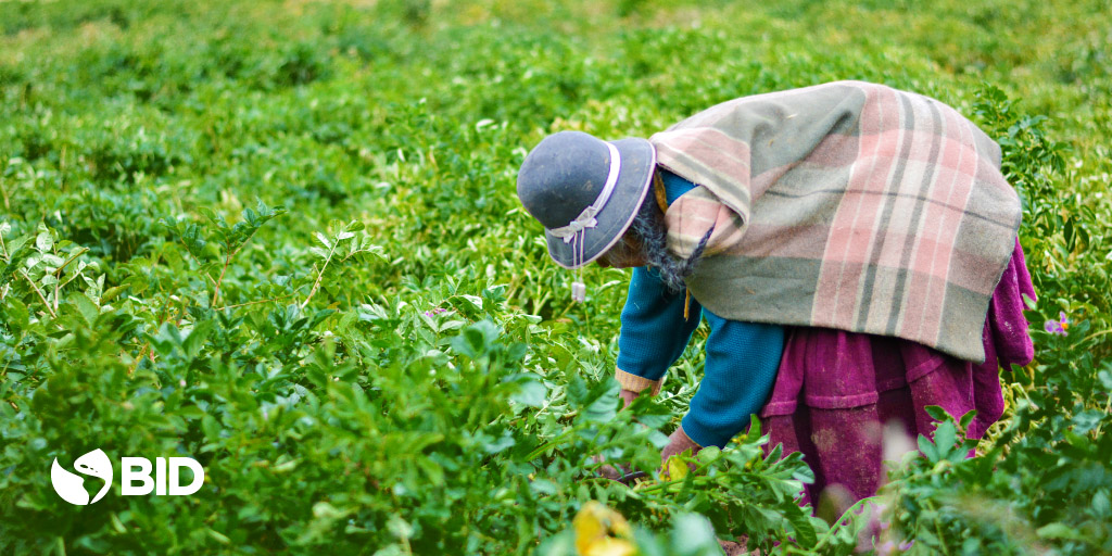 La nueva normalidad rural