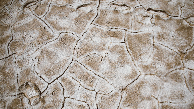 La brecha de habilidades: la madre de todas las brechas