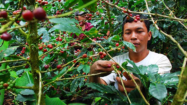 ¿Qué pasa con el empleo joven en América Latina?