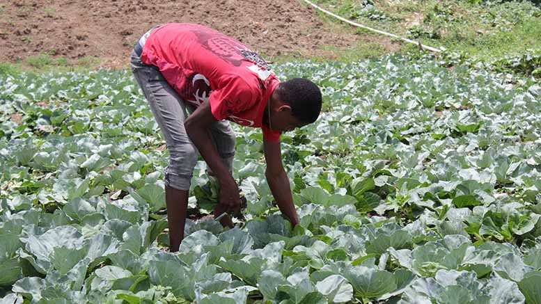 Rotación laboral y calidad del empleo entre los jóvenes de América Latina y el Caribe