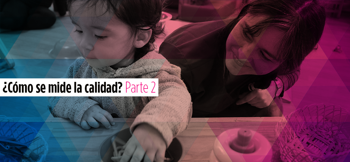 Los instrumentos disponibles para medir la calidad de los servicios de cuidado