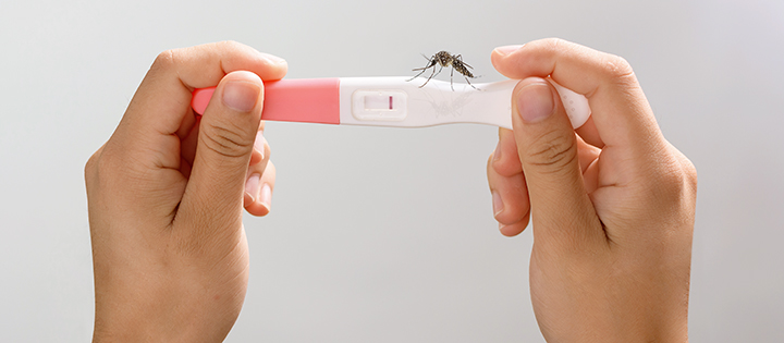 Por favor, señoras, no se embaracen en los próximos dos años