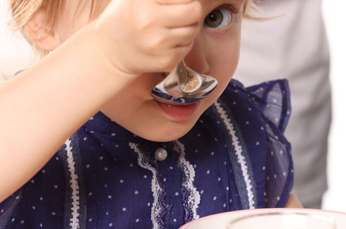 Carnívoros con anemia