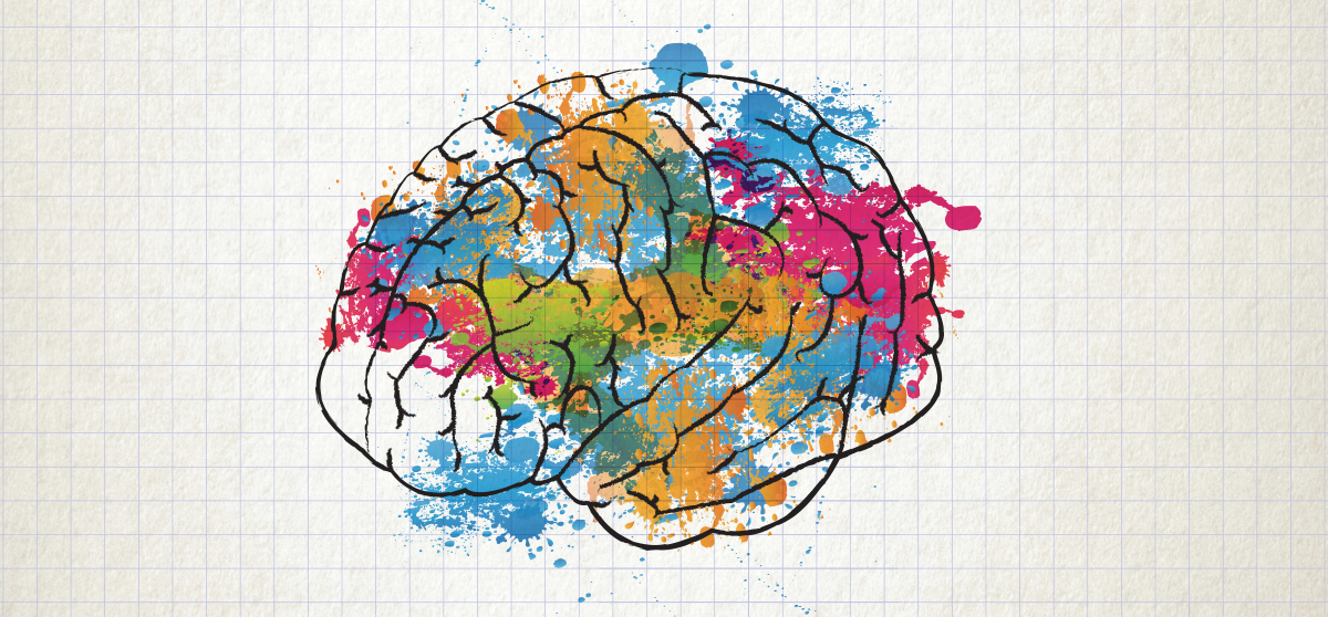 La arquitectura del cerebro infantil