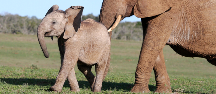¿Pueden las ciencias del comportamiento “empujar” la igualdad de género?