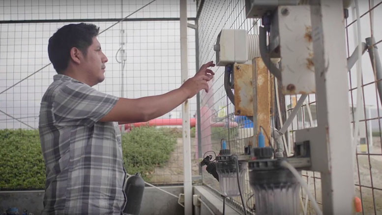 Cerrar la brecha de habilidades exige el compromiso de todos