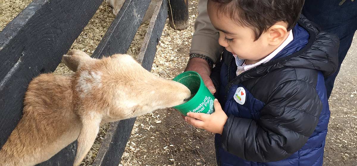 ¿Y si existiera una herramienta que permitiera realizar una inversión más sólida en el desarrollo infantil temprano?
