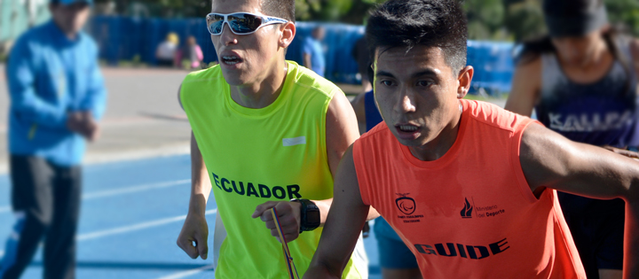 Discapacidad y desarrollo infantil, el desafío del lenguaje intersectorial universal