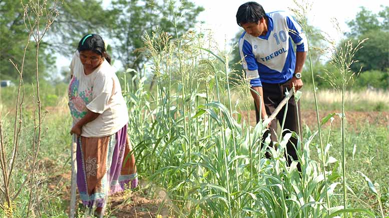 ¿Por qué es importante formalizar la economía de Paraguay para superar la crisis del COVID-19?