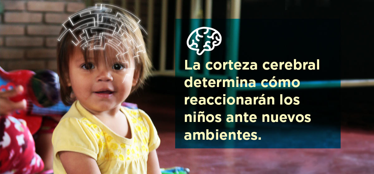 ¿Cómo se adaptan los niños al cambio?