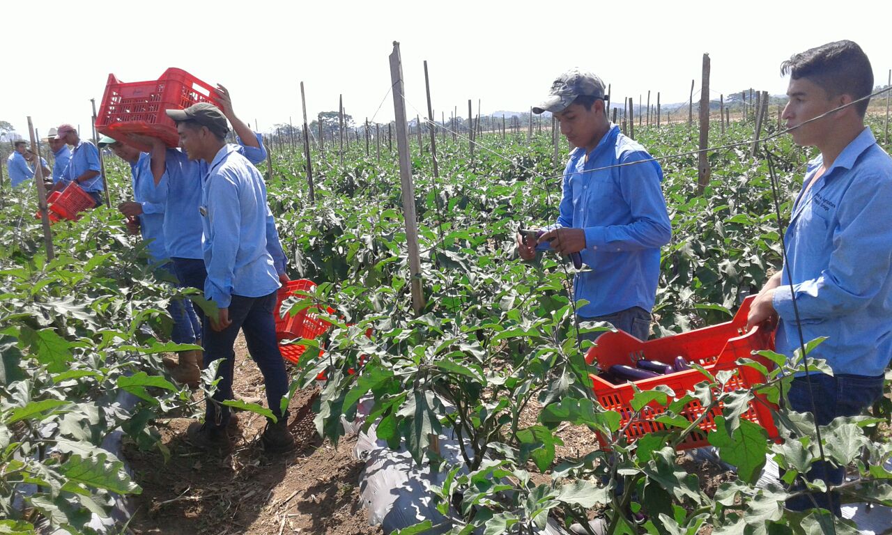 What if we talk about the YES-YES?