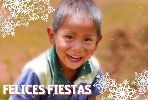 Los 5 posts más leídos del año