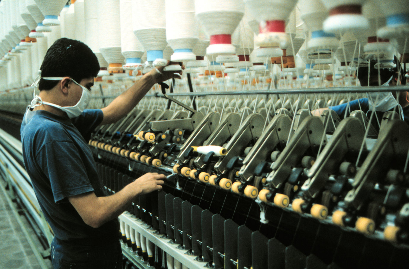 De la educación no se come