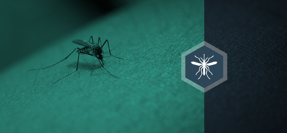 Crowdsourcing Inteligente para Zika: Lecciones en cooperación e innovación