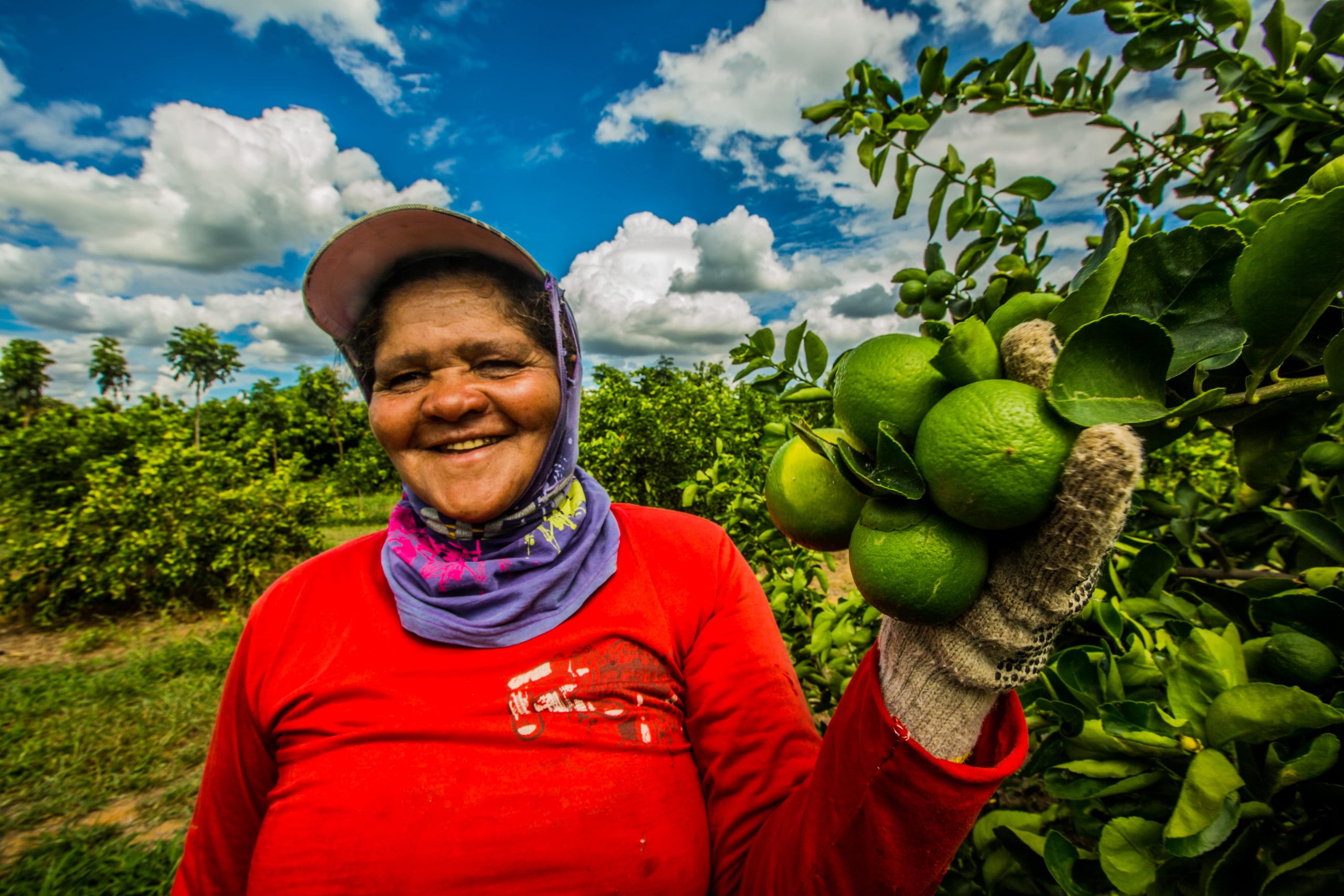 Empleo verde: ¿empleo femenino?