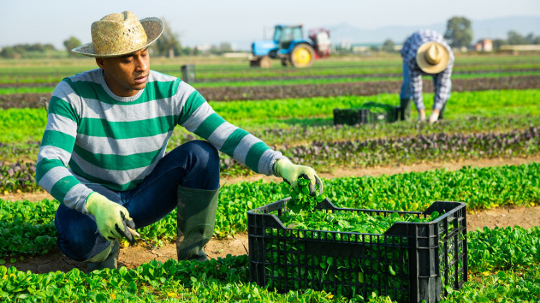 Apostarle a la economía verde para recuperar el empleo perdido