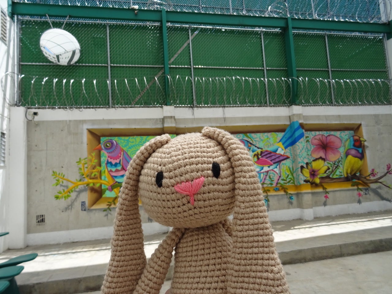 How to promote early childhood development in prison?