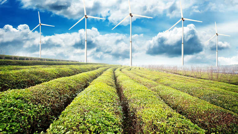 Generación de empleos verdes reduciendo emisiones de CO₂: El ejemplo de Ecuador para América Latina y el Caribe