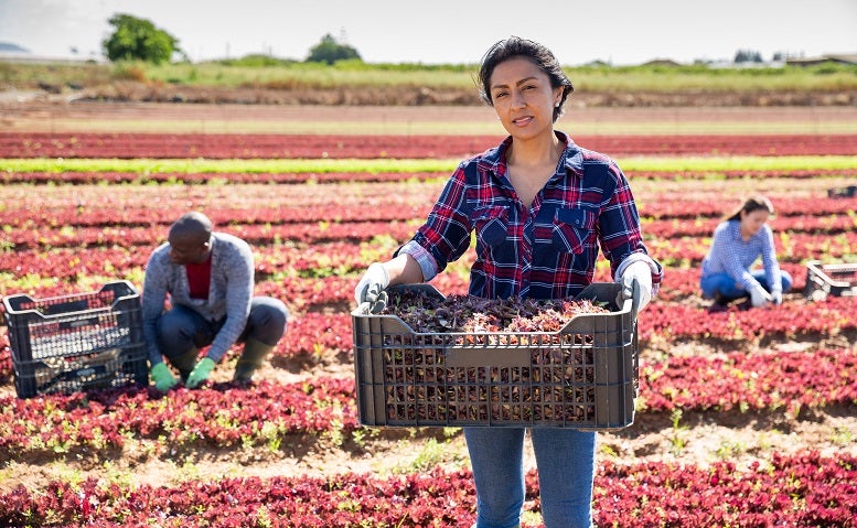 Transición a economías verdes: pasemos del diagnóstico a la acción
