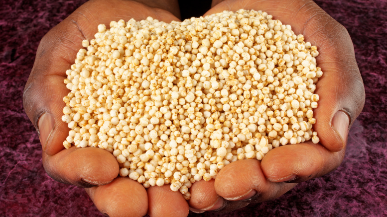 ¿Qué tienen que ver la quinua real boliviana y los buenos empleos?