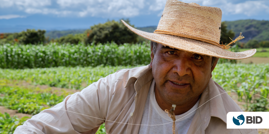¿Cómo se vinculan los migrantes guatemaltecos al mercado laboral mexicano?