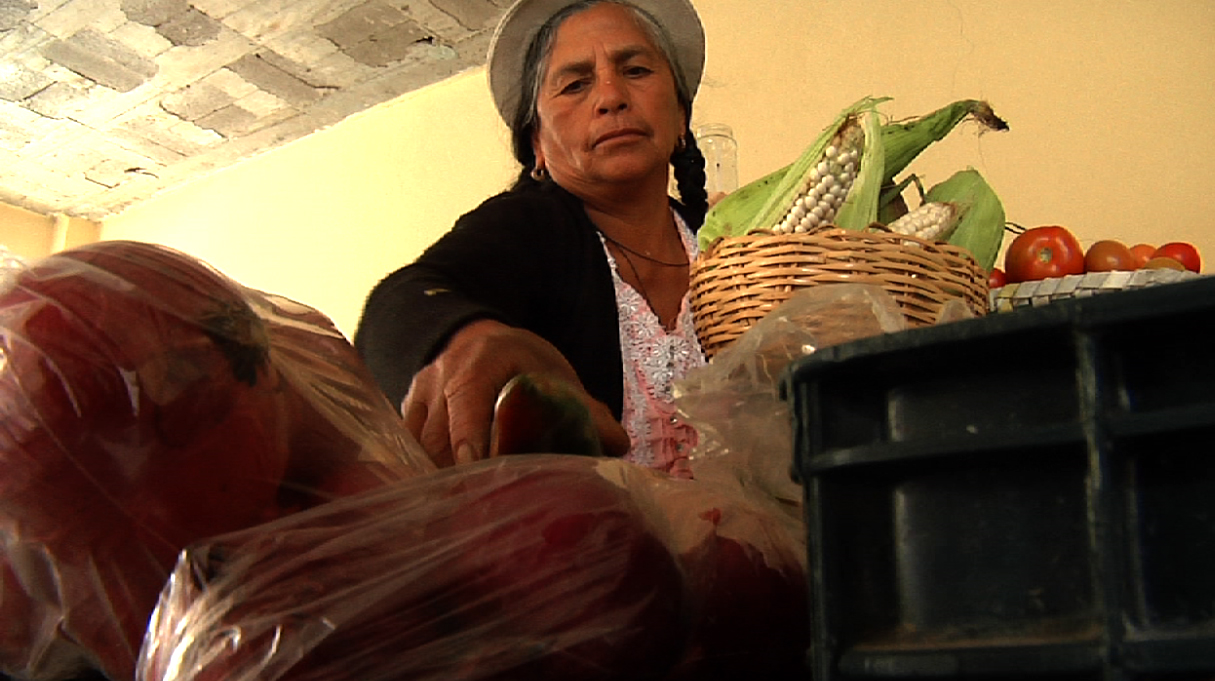 Mujeres en el margen: características del trabajo informal en Ecuador 