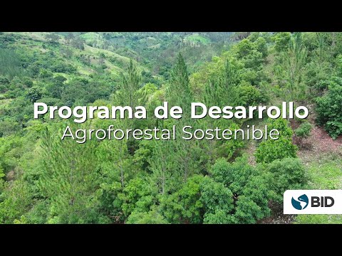 El camino hacia un desarrollo rural agroforestal sostenible en República Dominicana