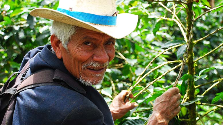 América Latina y el Caribe: una región que envejece rápido