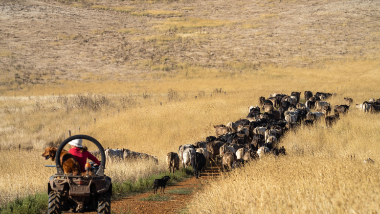 La transición hacia la economía verde puede crear 15 millones de empleos: ¿cómo hacerlos realidad? 