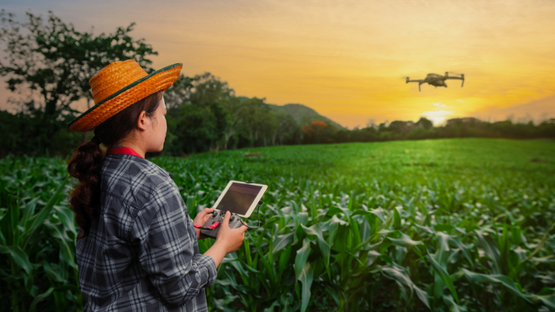 ¿Por qué invertir en las habilidades para los empleos verdes?