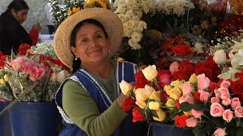 ¿Cómo mejorar la salud financiera de los adultos mayores?