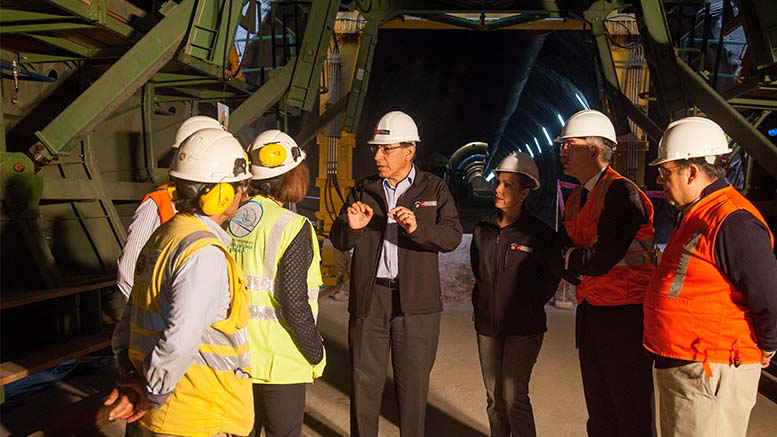 ¿Cómo cerrar la brecha de habilidades? El caso de los consejos sectoriales en Perú