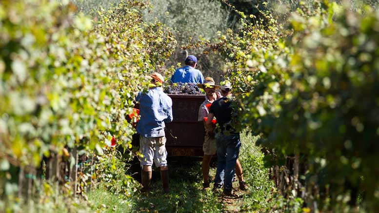 El 2019 en cinco artículos de Factor Trabajo