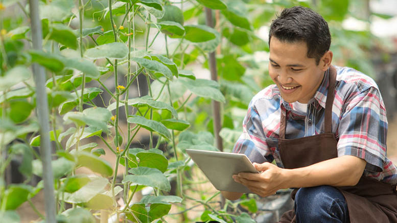 ¿Qué le depara el futuro al empleo agrícola?