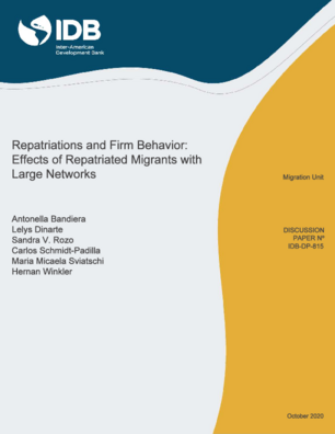 Repatriations and Firm Behavior: Effects of Repatriated Migrants with Large Networks