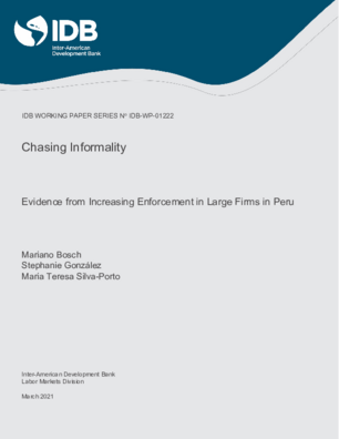 Chasing Informality: Evidence from Increasing Enforcement in Large Firms in Peru