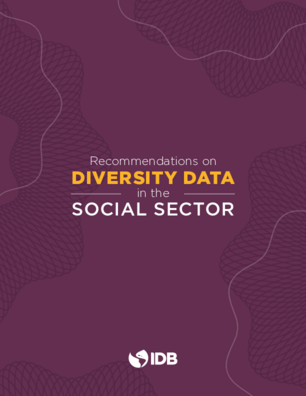 Recommendations on Diversity Data in the Social Sector