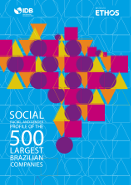 Social, racial and gender profile of the 500 largest Brazilian companies