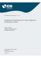 Employment Cyclicality by Firm Size, Wage and Productivity in Brazil