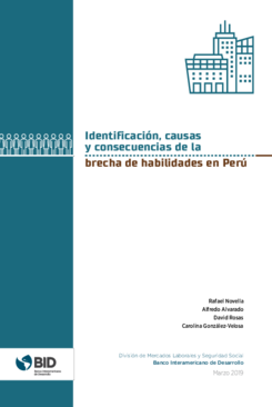 Identificación, causas y consecuencias de la brecha de habilidades de Perú