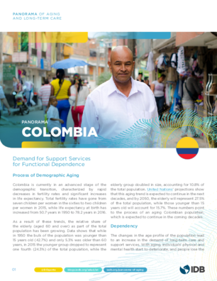 Panorama of Aging and Long-term Care: Summary Colombia