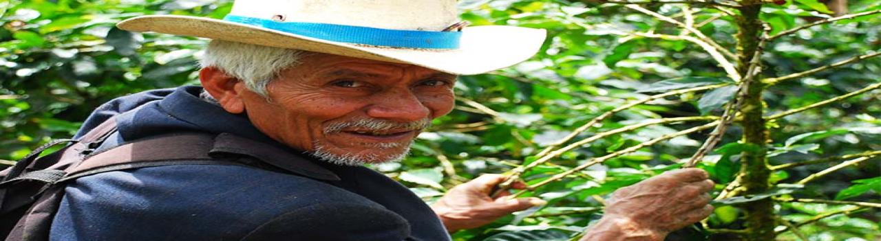 América Latina y el Caribe: una región que envejece rápido