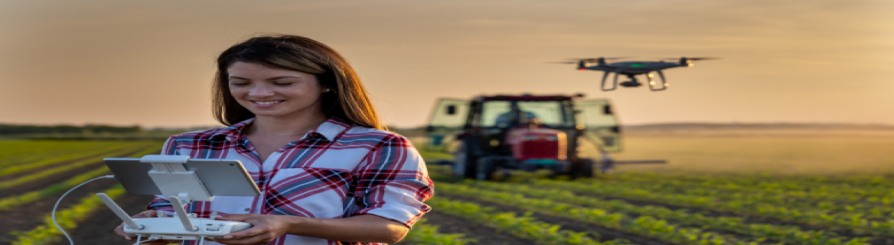 Skills for Work: Boosting Development and Productivity