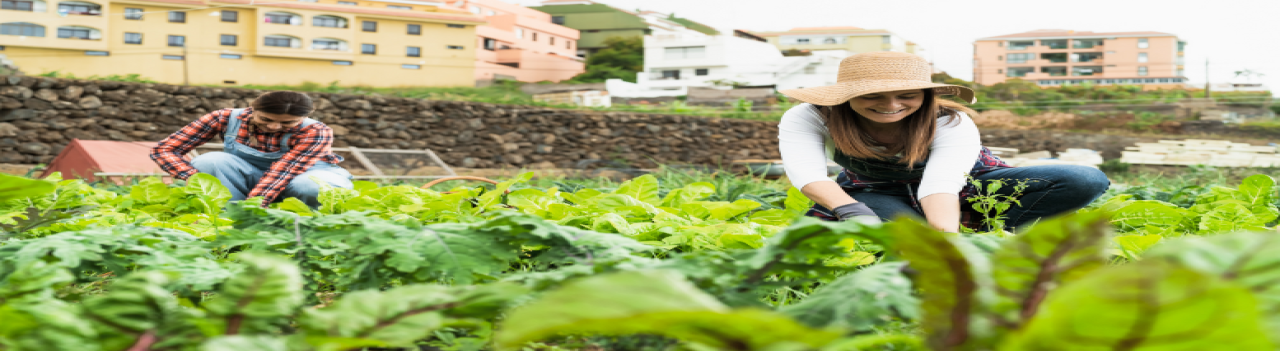 Manos a la obra: tres apuestas para promover la igualdad de género en el mundo del trabajo 